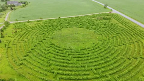 Drone orbit over green hedge maze symbolizing global tension and complexity Stock Footage 318514599