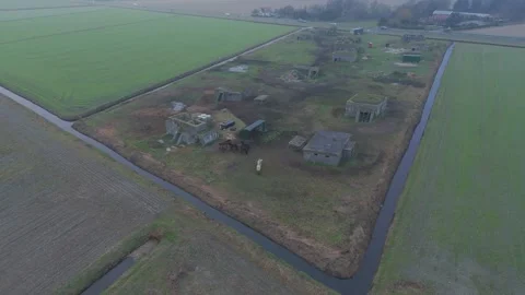 Drone Orbit Over Misty Bunker Field With Playing Horses Stock Footage 322992526