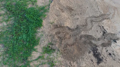 Drone Orbit Over Sea Turtle Tracks. Stock Footage 339079978