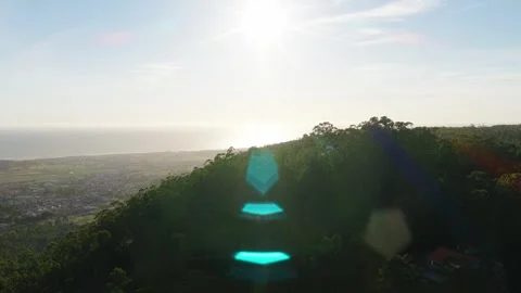 Drone orbit parallax above Atlantic coastal forest at sunset in Esposende Stock-Footage 342322998
