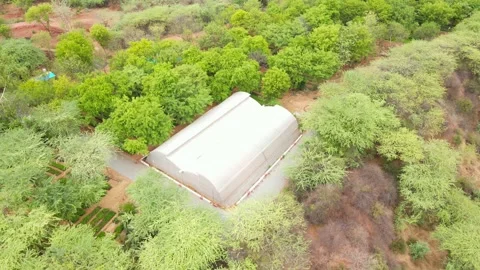 Drone-orbit-polyhouse-green-nursery-aerial Stock Footage 341465432