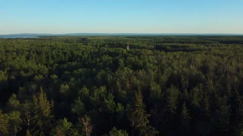 Drone Orbit Reveal of Drilling Rig Emerging From Boreal Forest Stock Footage 342003645