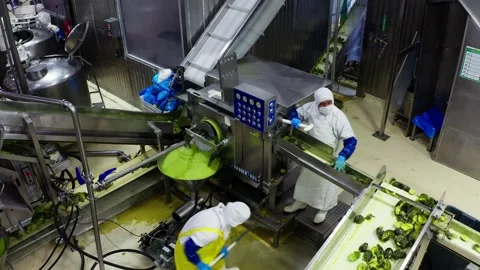 DRONE: ORBIT SHOT OF AN AVOCADO PROCESSING PLANT IN URUAPAN MICHOACAN Stock-Footage 293779976