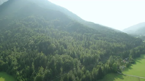 Drone Orbit Shot Of Hill Coverd With Trees Stock Footage 135577672
