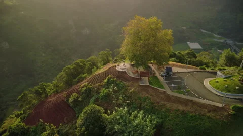 Drone orbit at sunrise over Lombo do Pico viewpoint, Madeira Stock Footage 328639009