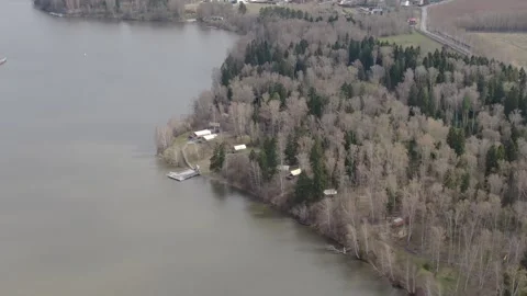 Drone orbiting along forest river shoreline Video stock 330014097