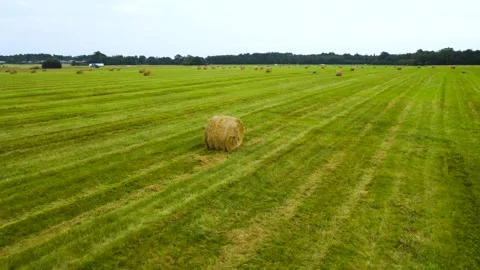 Drone Orbiting around a Freshly Mown Rural Field with Many Hay Bales Stock Footage 335141049