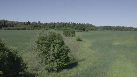 Drone orbiting low over green field Stock Footage 331740607