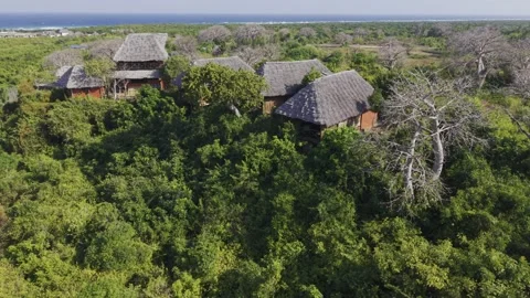 Drone orbits from behind bare baobab trees to reveal hilltop resort Stock Footage 344105459
