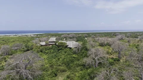 Drone orbits left over baobab forest with resort on hill on a sunny afternoon Stock Footage 344105263
