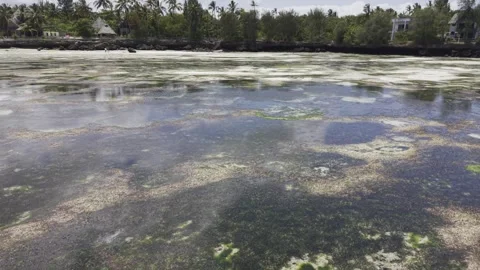 Drone orbits right while flying low over tide pools at Mkunguni Beach Stock-Footage 346160021