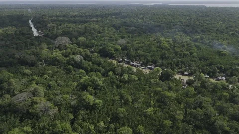 Drone orbits river running through forest on island in the north of the Amazon Video stock 284468496