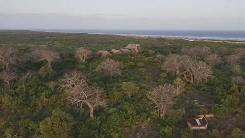 Drone orbits in ultra wide orbits around mountaintop resort with baobabs Stock Footage 344140952