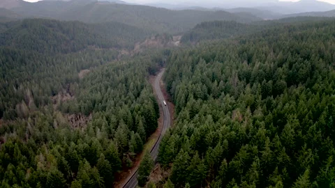 Drone Oregon Trees 4K 30FPS Stock Footage 135355985