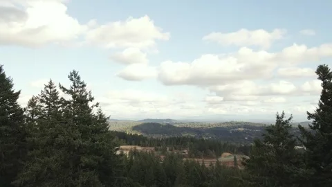 Drone Oregon trees in foreground 3d Stock Footage 321354906