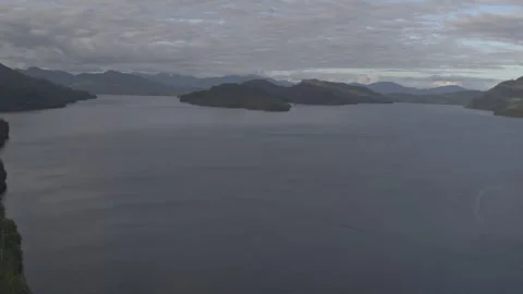 Drone Over Alaskan Lake with Pine Trees and Mountains in Background Stock Footage 255318929