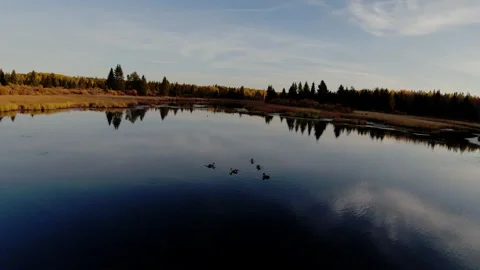 Drone Over Alberta During a Sunset Stock Footage 218638762