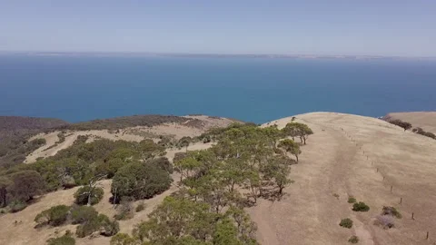 Drone over arid landscape Pacific Ocean, Australia, SA, Blowhole Beach Stock Footage 236365299
