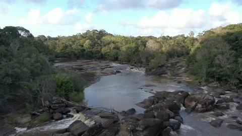 Drone over Atlantic Forest river 스톡 동영상 127556283