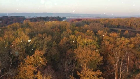 Drone Over Autumn Forest Transforms into Snowfall Aerial Vídeo Stock 330280540