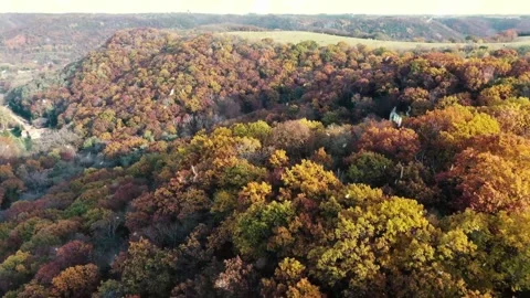 Drone Over Autumn Forest Transforms into Snowfall Aerial Stock Footage 330280565