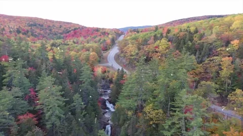 Drone Over Autumn Forest Transforms into Snowfall Aerial Stock-Footage 330281198