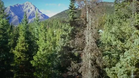 Drone over Banff Stock Footage 140233656