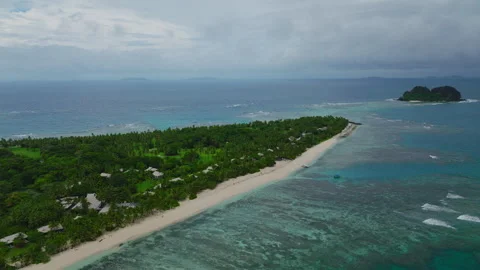 Drone Over Beachfront With Palms and Vibrant Reef Stock Footage 313474589