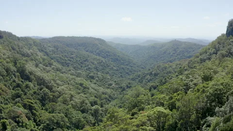 Drone over beautiful valley in Springbrook, Australia, QLD, Gondwana Stock Footage 236523436