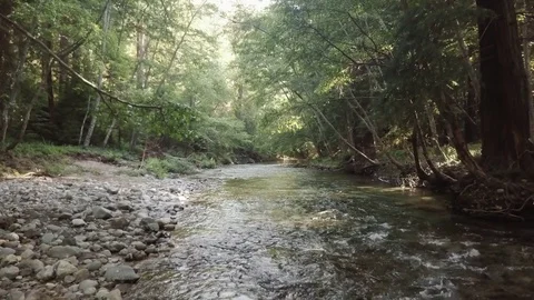 Drone over Big Sur River near Post Ranch Inn Stock Footage 79431849