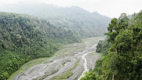 Drone Over Braided River In Gorge Of Dense Forest Stock Footage 146104354