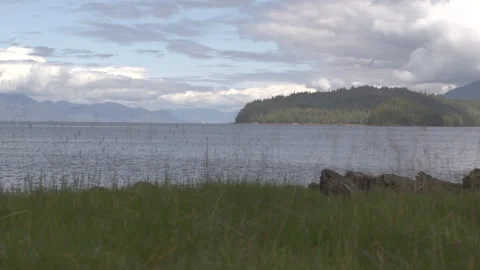Drone over brush lakeside with pine tree mountains in background Alaska Stock Footage 255318312