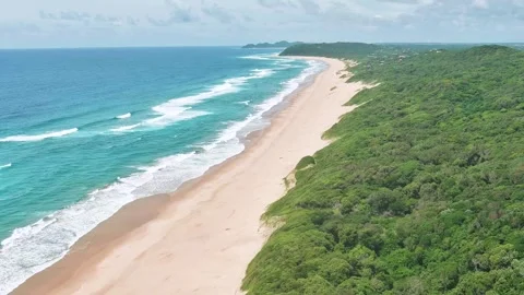 Drone over bushes and beach Stock Footage 304266674