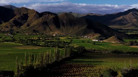 Drone Over Cafayate Valley Vineyards and Mountains Argentina Stock Footage 332229671