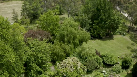 Drone over Cedars Garden Surrounding Hans Heysen House, South Australia Stock Footage 236006398
