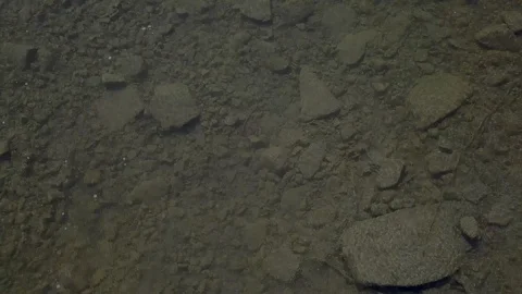 Drone over clear river water Video stock 100892932