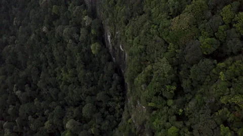 Drone over cliff formation in rainforest valley, Australia, QLD, Springbrook Stock Footage 236535024