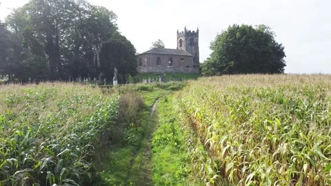 Drone over country path maize field towardsd old church Stock Footage 251641455