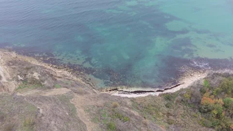 Drone Over Crystal Clear Blue Sea and Rocky Forest Coastline Stock Footage 320930804