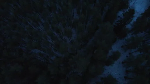 Drone over dark forest while snowing Stockbeeldmateriaal 243229286