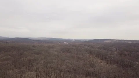 Drone over dead forest horizon overcast 動画素材 106651017