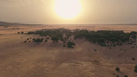 Drone over dry dehesa during drought at warm summer sunset, Salamanca, Spain Vidéo 341887337