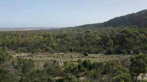 Drone over earth art, Eagle Made with Stones, Australia, Victoria, You Yangs Stock Footage 227265331