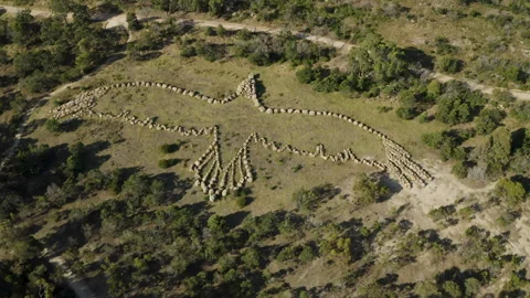 Drone over earth art, Eagle Made In Stones, Australia Victoria, You Yangs Stock Footage 227407067