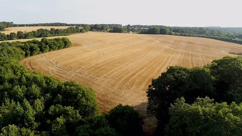 Drone Over Farm Field Vídeo Stock 99378131