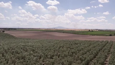 Drone over farm fields in the hills near the lake. A cloudy summer day. Stock Footage 278973256