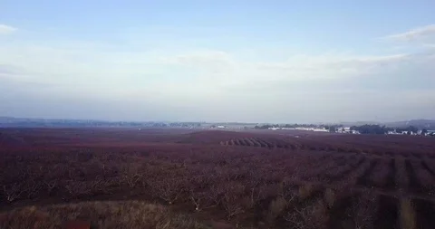 Drone over a field in Damascus. Video stock 125114488