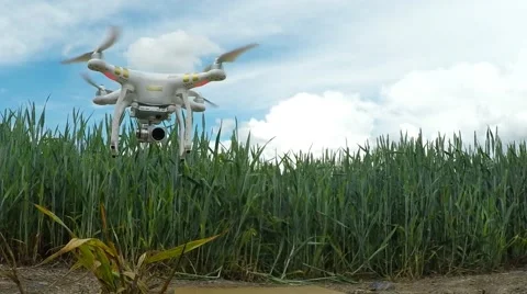 Drone over field. 스톡 동영상 63766353