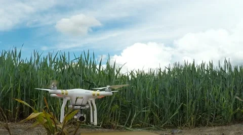 Drone over field. Stock-Footage 63766443