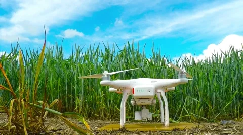 Drone over field. 스톡 동영상 63766927